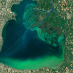 Algae Boom in Lake Erie