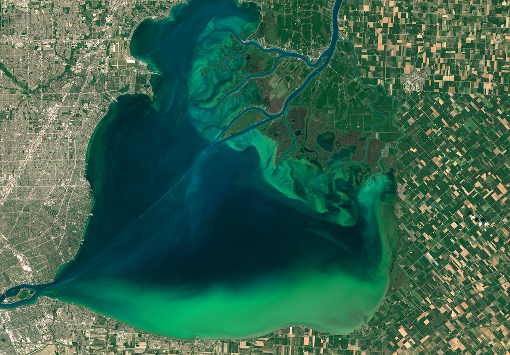 Algae Boom in Lake Erie